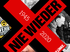 8ter_Mai_FB_DIE_LINKE.png